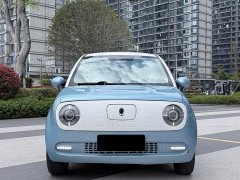 ORA Black Cat 351km Luxury - ფოტო 2