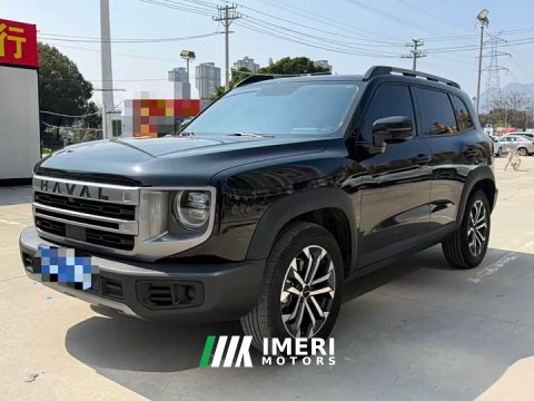 2023 Great Wall Dachshund 2022 1.5T DCT Two-Wheel Drive Border Collie Edition - ავტომობილი ჩინეთიდან