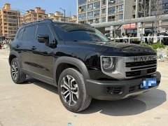 Great Wall Dachshund 2022 1.5T DCT Two-Wheel Drive Border Collie Edition - ფოტო 3
