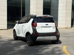 Chery Ant 200,000 Ant Fans Edition Vitality Version Ternary Lithium 408km - ფოტო 15