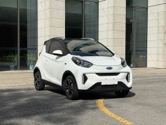 Chery Ant 200,000 Ant Fans Edition Vitality Version Ternary Lithium 408km - ფოტო 3
