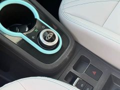 Chery Ant 200,000 Ant Fans Edition Vitality Version Ternary Lithium 408km - ფოტო 7