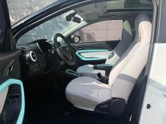 Chery Ant 200,000 Ant Fans Edition Vitality Version Ternary Lithium 408km - ფოტო 8
