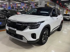 Kia Situs 1.5L CVT Luxury Edition - ფოტო 1