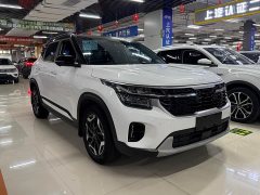 Kia Situs 1.5L CVT Luxury Edition - ფოტო 2