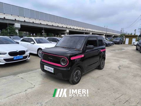 2023 Geely Panda Mini 200km Endurance Edition - ავტომობილი ჩინეთიდან