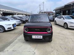 Geely Panda Mini 200km Endurance Edition - ფოტო 2