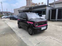 Geely Panda Mini 200km Endurance Edition - ფოტო 3