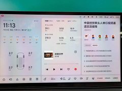 Li Auto L7 Pro - ფოტო 12
