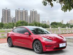 Tesla Model 3 Facelift Standard Range RWD Upgrade 3D1 - ფოტო 3