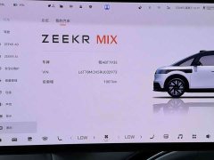 Zeekr Geely Zeekr MIX 2025 Smart Driving Edition - ფოტო 11