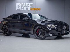 Mercedes-Benz AMG GT AMG GT 50 Four-Door Coupe China Special Edition - ფოტო 3