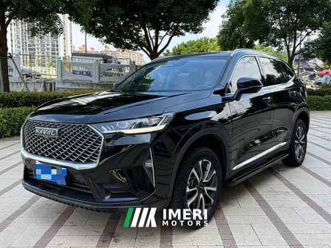 2023 Haval H6 National Trend Edition 1.5T Automatic Champion Version - ავტომობილი ჩინეთიდან