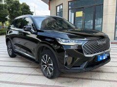 Haval H6 National Trend Edition 1.5T Automatic Champion Version - ფოტო 3