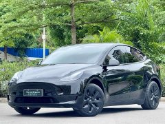 Tesla Model Y Rear-Wheel Drive - ფოტო 1