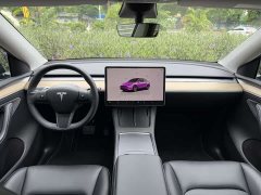 Tesla Model Y Rear-Wheel Drive - ფოტო 6