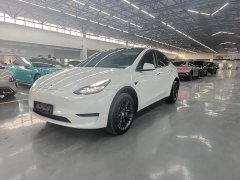 Tesla Model Y Rear-Wheel Drive - ფოტო 2
