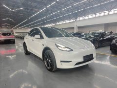 Tesla Model Y Rear-Wheel Drive - ფოტო 3
