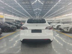 Tesla Model Y Rear-Wheel Drive - ფოტო 9