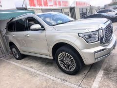 Tank 500 3.0T Business Edition Landscape Version 5-Seater - ფოტო 2