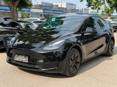 Tesla Model Y Rear-Wheel Drive - ფოტო 1
