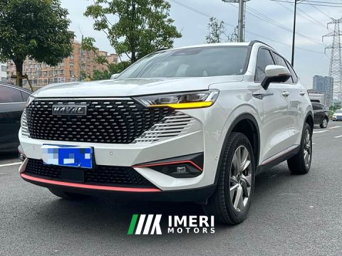 2023 Haval H6 National Trend Edition 1.5T Automatic Urban Version - ავტომობილი ჩინეთიდან