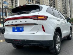 Haval H6 National Trend Edition 1.5T Automatic Urban Version - ფოტო 20