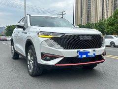 Haval H6 National Trend Edition 1.5T Automatic Urban Version - ფოტო 3