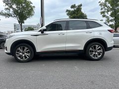 Haval H6 National Trend Edition 1.5T Automatic Urban Version - ფოტო 4