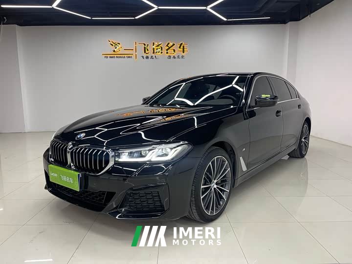 BMW 5 Series 530Li Premier M Sport Package - ავტომობილი ჩინეთიდან