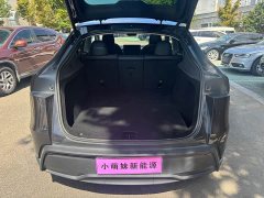 Tesla Model Y Rear-Wheel Drive - ფოტო 19