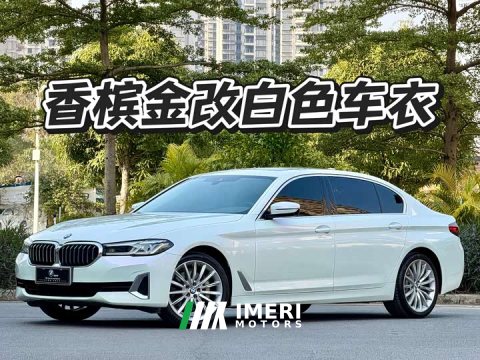 2021 BMW 5 Series 530Li Luxury Edition Premium Package - ავტომობილი ჩინეთიდან