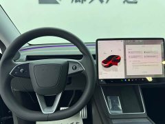 Tesla Model Y Rear-Wheel Drive - ფოტო 11