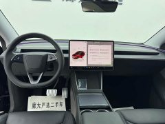 Tesla Model Y Rear-Wheel Drive - ფოტო 9