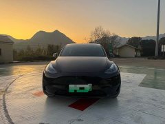 Tesla Model Y Rear-Wheel Drive - ფოტო 2