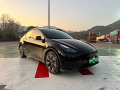 Tesla Model Y Rear-Wheel Drive - ფოტო 3