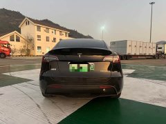 Tesla Model Y Rear-Wheel Drive - ფოტო 5