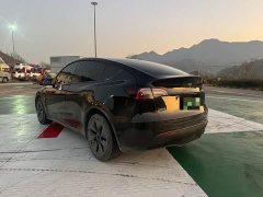 Tesla Model Y Rear-Wheel Drive - ფოტო 6