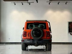 Tank 300 Off-Road Edition 2.0T Conqueror - ფოტო 5