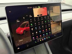 Tesla Model Y Rear-Wheel Drive - ფოტო 13