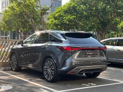 Lexus RX New Energy 450h AWD Comfort Edition - ფოტო 11