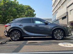 Lexus RX New Energy 450h AWD Comfort Edition - ფოტო 12