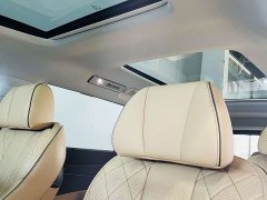 Denza BYD Denza D9 DM-i 1050 Premium - ფოტო 11