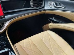 Denza BYD Denza D9 DM-i 1050 Premium - ფოტო 16