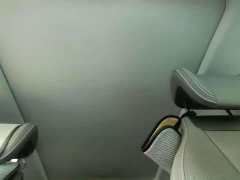 Buick E5 2023 Premium Standard Range Edition - ფოტო 16
