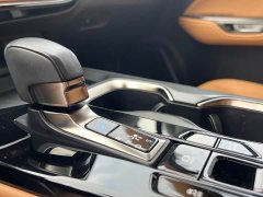 Lexus NX New Energy 400h Comfort Edition - ფოტო 12