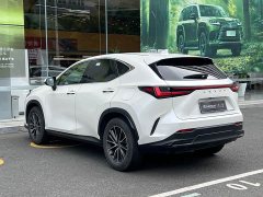 Lexus NX New Energy 400h Comfort Edition - ფოტო 17