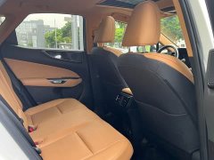 Lexus NX New Energy 400h Comfort Edition - ფოტო 9