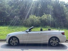 BMW 2 Series (Imported) 2019 225i Convertible Sports Design Package - ფოტო 3
