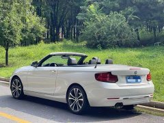 BMW 2 Series (Imported) 2019 225i Convertible Sports Design Package - ფოტო 4